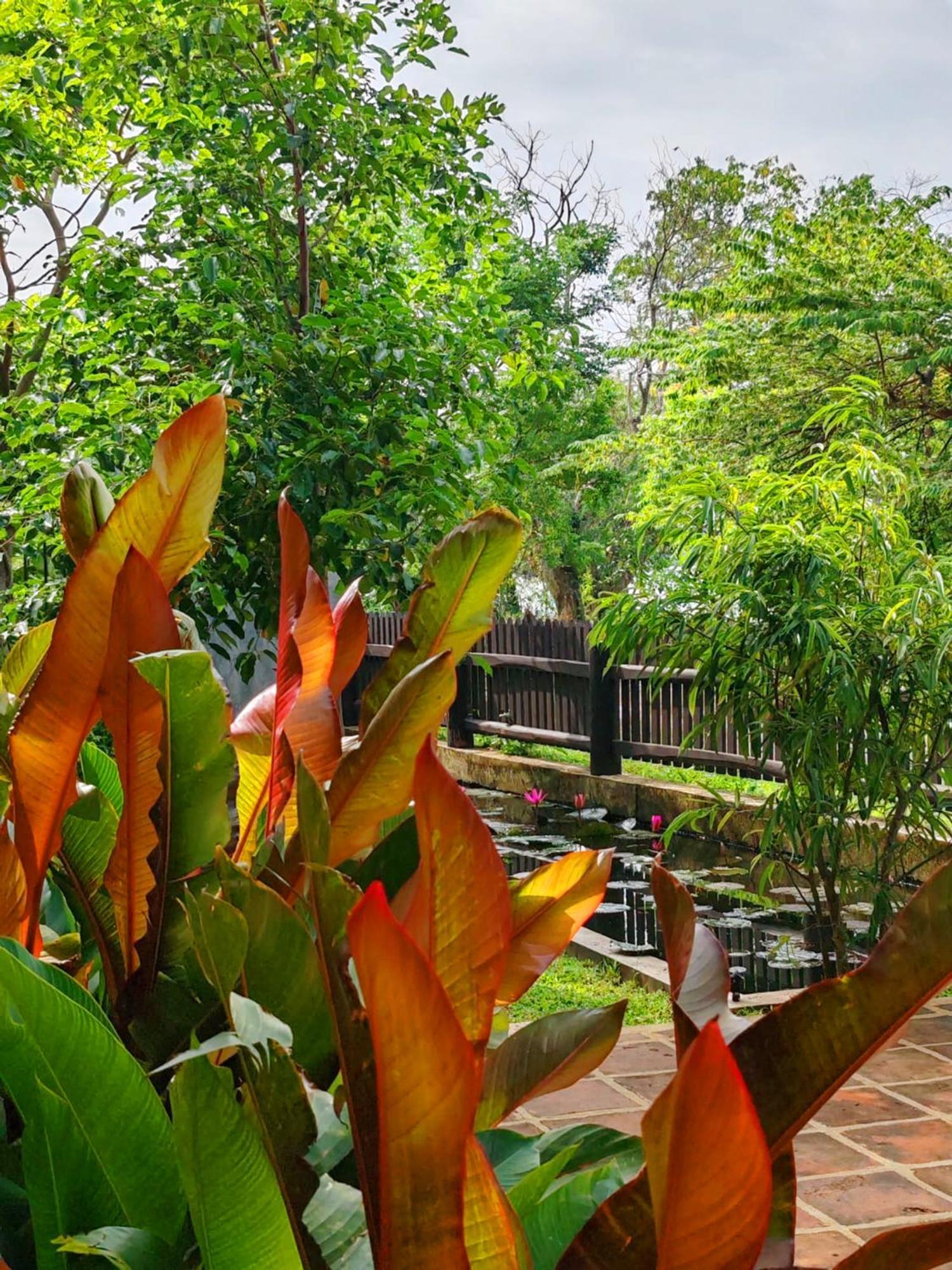 Art Yala Boutique Resort Tissamaharama Esterno foto
