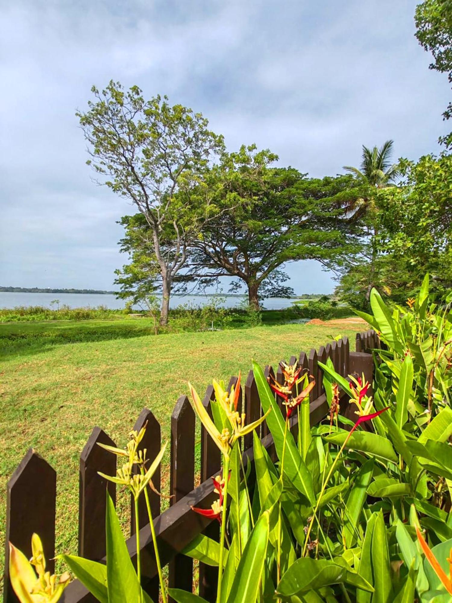 Art Yala Boutique Resort Tissamaharama Esterno foto