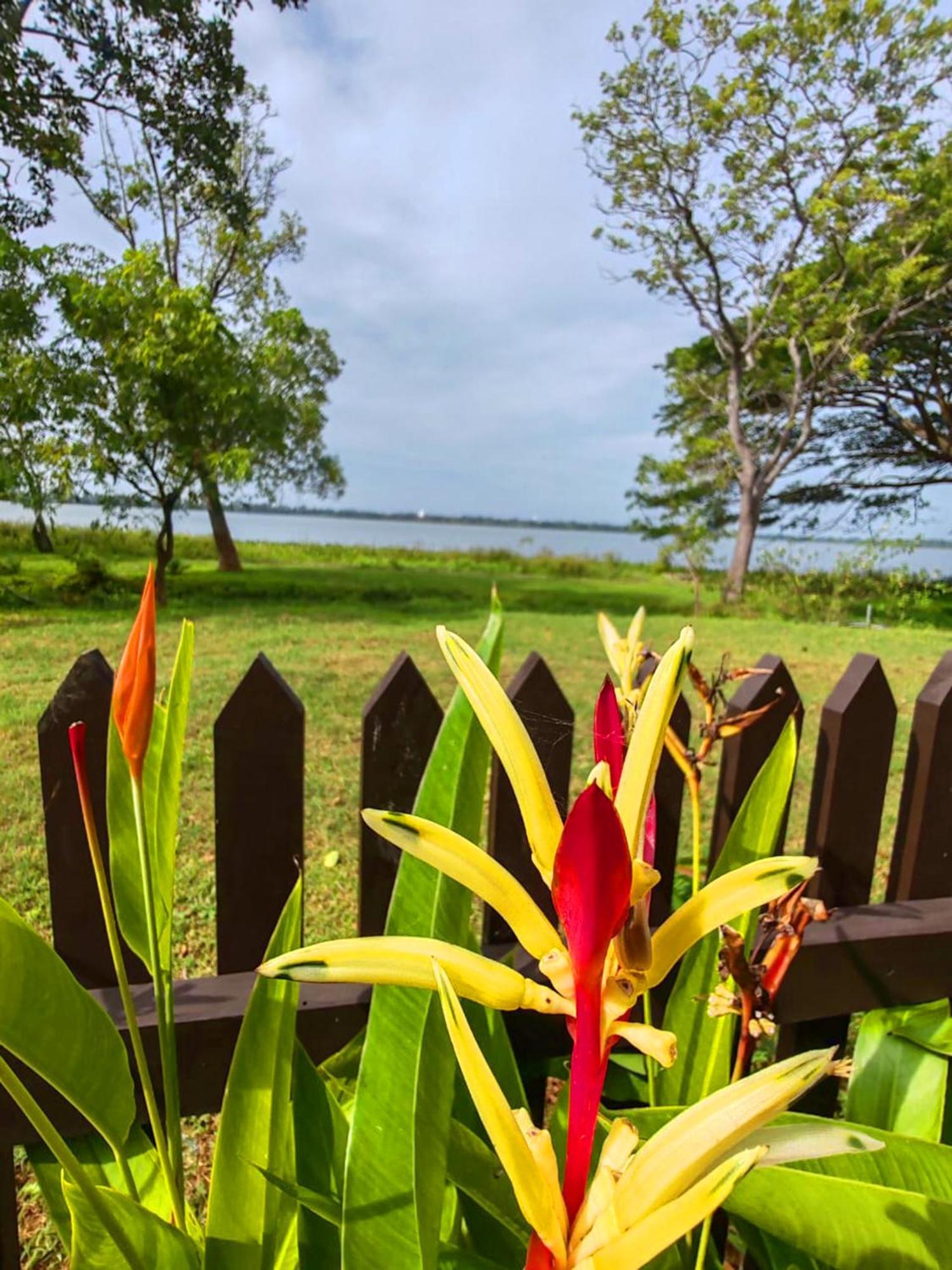 Art Yala Boutique Resort Tissamaharama Esterno foto
