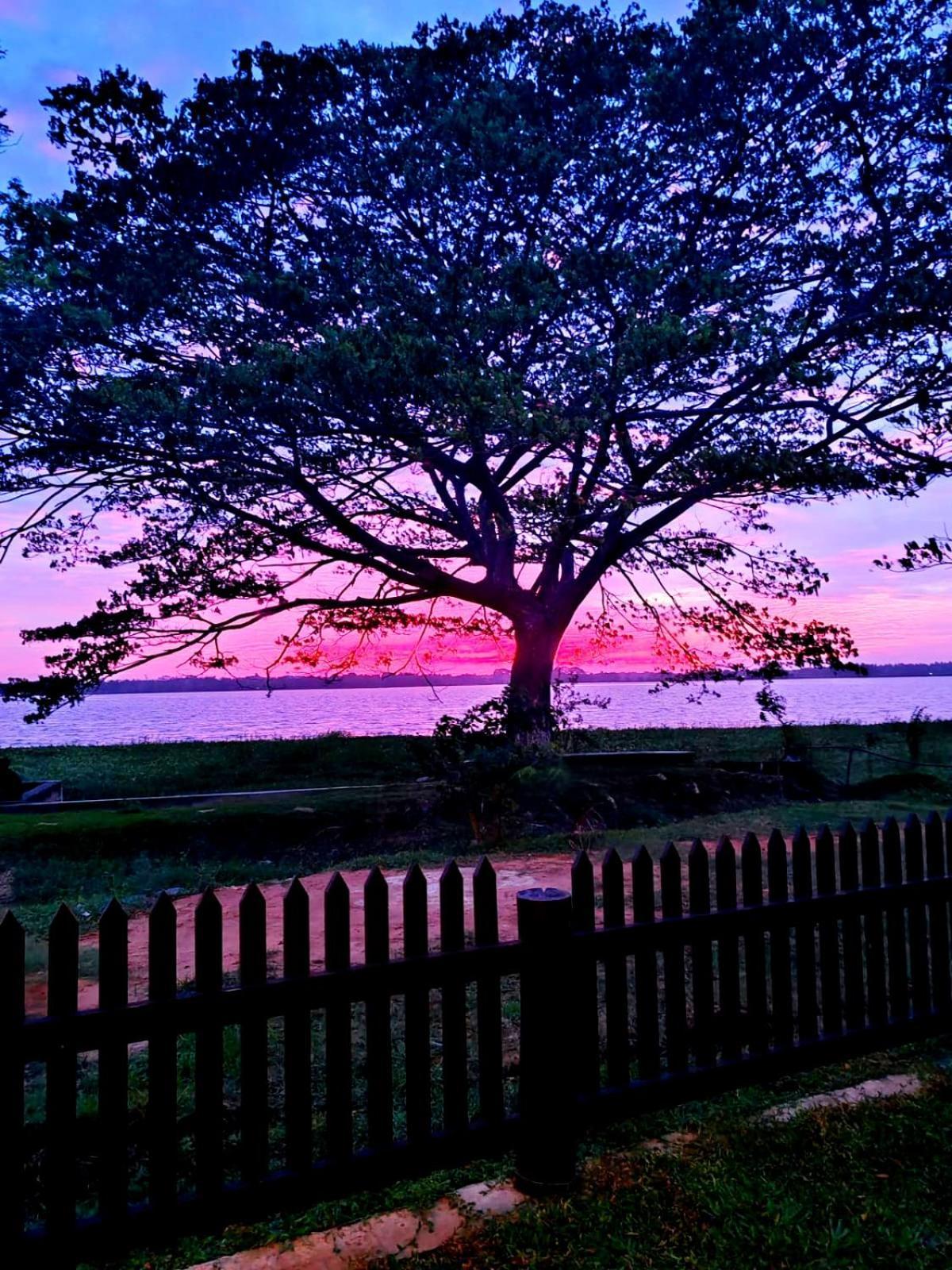 Art Yala Boutique Resort Tissamaharama Esterno foto