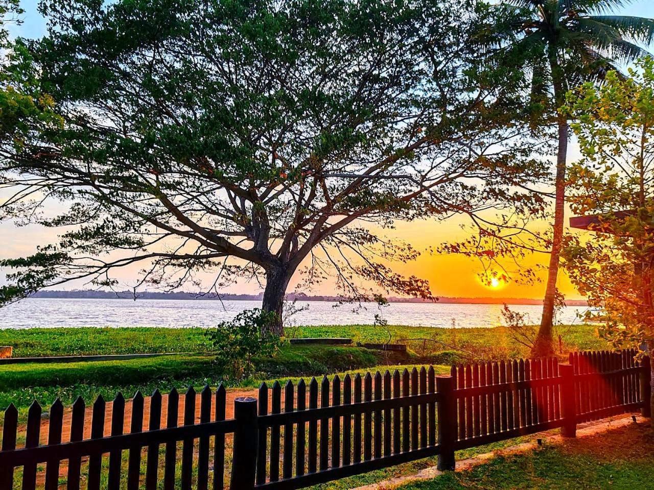 Art Yala Boutique Resort Tissamaharama Esterno foto