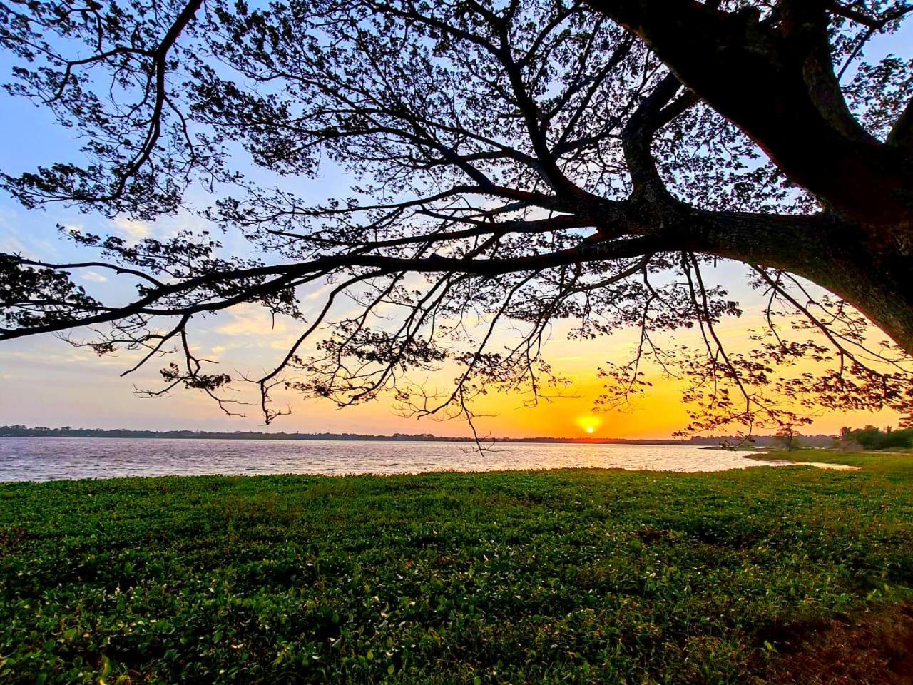 Art Yala Boutique Resort Tissamaharama Esterno foto